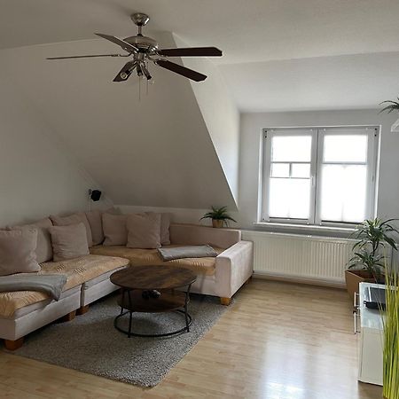 Bambus, Jungle, Dachterrasse & Bequem Bis Zentrum Radebeul Buitenkant foto