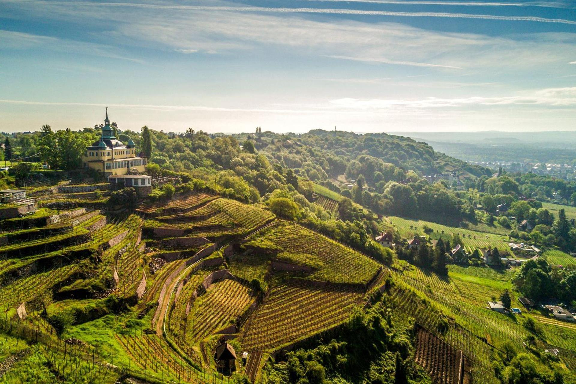 Bambus, Jungle, Dachterrasse & Bequem Bis Zentrum Radebeul Buitenkant foto
