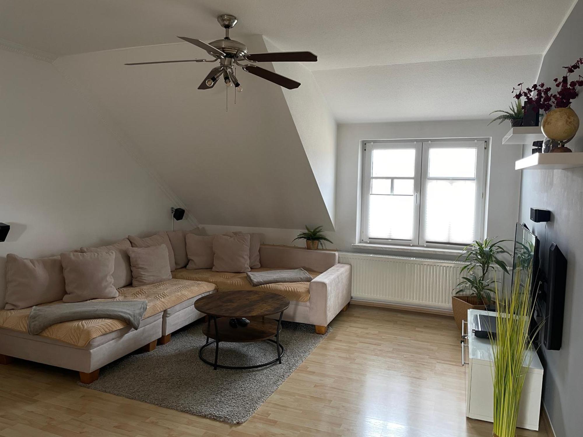 Bambus, Jungle, Dachterrasse & Bequem Bis Zentrum Radebeul Buitenkant foto
